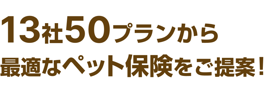 ペット保険の提案