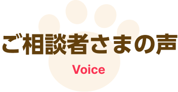 相談者からの声